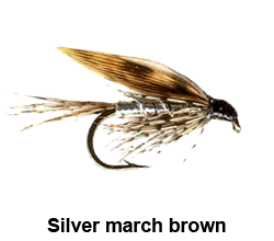 curso de pesca con mosca - moscas - moscas ahogadas - silver march brown