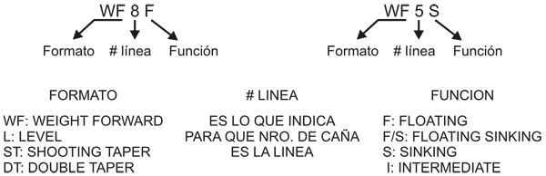 Curso de pesca con mosca - La lnea de pesca con mosca - Nomenclatura de las lneas